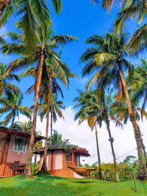 baliraya resort|Baliraya, Cavinti (updated prices 2024) .